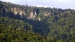 Madre de Dios es sede de Grupo Internacional de Cambio Climático y Gobernanza de Bosques