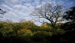 'Un safari de esperanza en el bosque seco peruano'