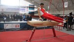 Campeonato Nacional de Gimnasia Artística Femenina  Masculina