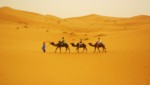 Una mirada al fascinante Sahara