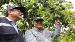 Lanzan programa de erradicación de las moscas de la fruta que cubrirán 750 mil hectáreas