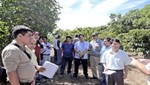 Costa Rica brindará apoyo técnico para mejorar calidad del café peruano