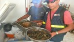 Incautan más de 20 kilos de camarón de río en Arequipa en temporada de veda