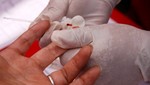 Más de 3,500 establecimientos de salud del país hacen pruebas rápidas para diagnóstico de VIH