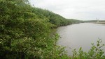 32 familias de la zona del manglar El Bendito de Tumbes son beneficiadas con proyecto de Cáritas del Perú.