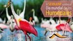 Conoce las actividades en todo el país por el Día Mundial de los Humedales