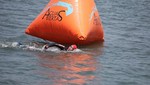 Nadadores de aguas abiertas buscan clasificar a los X Juegos Sudamericanos Santiago 2014
