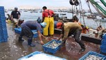 El sector pesquero creció 12,66% en el 2013