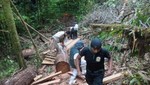 SERNANP: En operativo conjunto se recupera 6 mil pies de madera talada ilegalmente