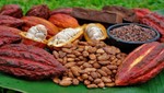 Productos peruanos se lucen en Panamá