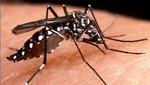 Municipalidad de Lima se suma a la campaña Pequeñas picaduras: grandes amenazas contra el dengue