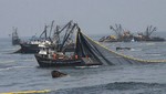 Amplían hasta el 31 de mayo segunda temporada de pesca industrial de anchoveta