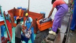 Inspectores decomisan tres toneladas de pota a embarcaciones sin permiso de pesca