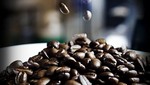 El Perú contará con Instituto Nacional del Café y Cacao