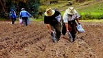 Producción agropecuaria se incrementó en 3,63%