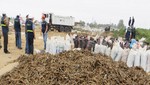 Incautan más de 90 toneladas de pescado que eran secados a la intemperie en Pisco