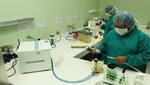Implementan diagnóstico de fiebre chikungunya ante casos reportados en Perú