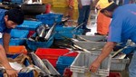 Agentes de pesca artesanal de Pucusana, Ancón y Chorrillos serán capacitados en prevención de contaminación