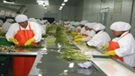 Agroexportación nacional creció 22% los primeros cinco meses del año