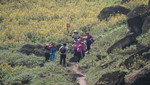 Municipalidad de Lima lanzó circuito ecoturístico Lomas de Primavera en el distrito de Carabayllo
