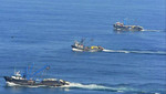 Vedas preventivas evitaron la captura de 25 mil toneladas de anchoveta juvenil