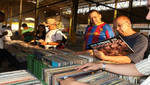 Feria del vinilo en Miraflores