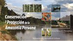 Aliados por la conversación se reúnen para promover Protección de la Amazonia Peruana