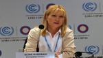 [COP20] Cumbre de Lima sobre cambio climático abre el camino para lograr acuerdo climático equilibrado en París 2015