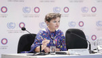 COP 20: La neutralidad climática, nuevo objetivo de la Cumbre sobre el Cambio Climático