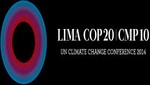 Concluyó la conferencia del clima de Lima: al final, lo mínimo necesario