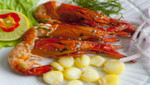 Inició veda reproductiva de langostino a nivel nacional