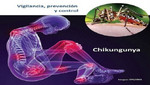 Caso importado de Chikungunya en Cusco no representa riesgo