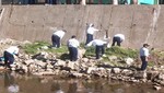 Hallan cientos de colas de perro arrojadas en el río Ichu