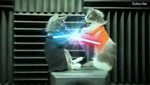 Video: Gatos luchando como en Star Wars causan furor