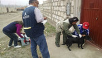 Equipo del Minsa refuerza acciones contra rabia canina tras emergencia sanitaria en Arequipa