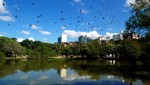 Conoce Curitiba, la ciudad más sostenible en América Latina