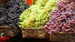 En Perú podemos contabilizar 30 variedades de uva para vino