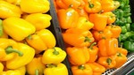 Se abre mercado de capsicum fresco peruano a EE.UU.