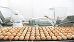 Grupo Alimenta invierte 20 millones de soles para la ampliación de sus operaciones en el país