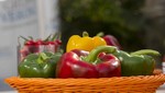 Exportadores requieren certificar producción de capsicum frescos