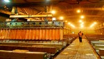Producción nacional de cobre superó los 1.5 millones de toneladas