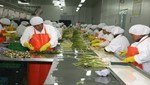 Las agroexportaciones superarán los US$ 6 mil millones de dólares en el 2016