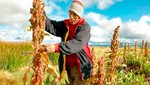 Alianza entre autoridades de Huancavelica, Foncodes y Buenaventura impulsará la producción de cultivos altoandinos