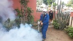 Diresa Callao realiza campaña de inspección sanitaria y fumigación contra virus del zika