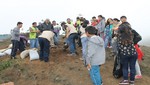 En 2015, UNACEM arborizó más de 9 mil metros cuadrados de Lima Sur beneficiando a cerca de 6 mil pobladores