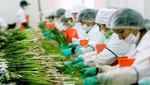 Exportaciones agrarias entre en enero llegaron a los US$ 467 millones y crecieron 4% en comparación al 2015