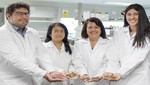 Universidad de Lima inicia investigación para microencapsular aceites de sacha inchi y prevenir enfermedades