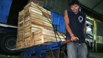 El 12% de estibadores abandona el trabajo por dolores de espalda