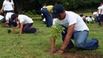 Preparan campaña de reforestación en Madre de Dios para combatir la minería ilegal