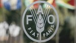 La FAO estrenará tres nuevas oficinas en Brasil